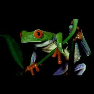 Meet your Posher, Kelley